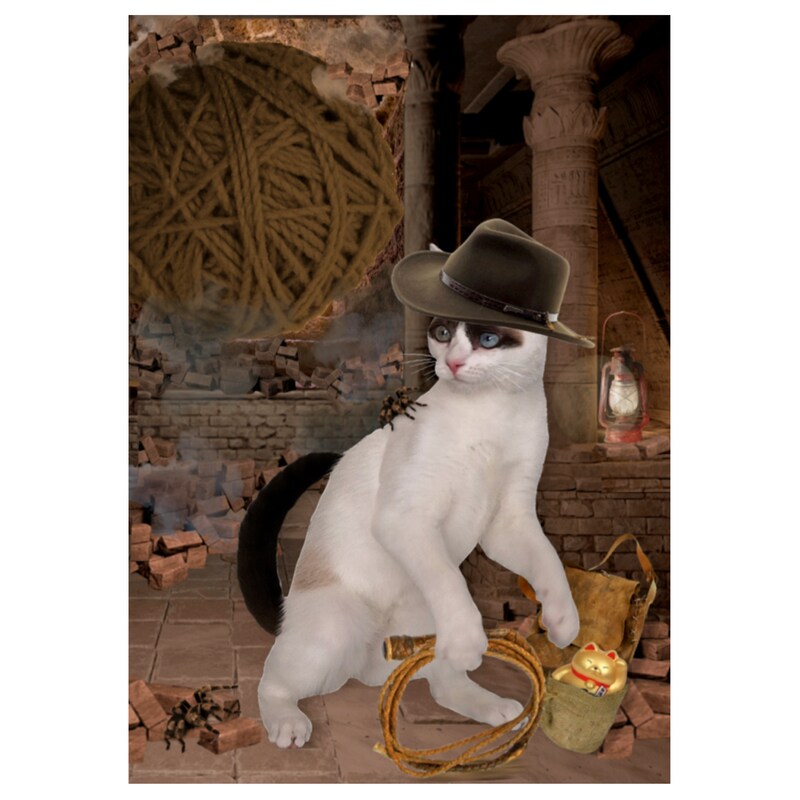 Cat Photo Card: Jonesy